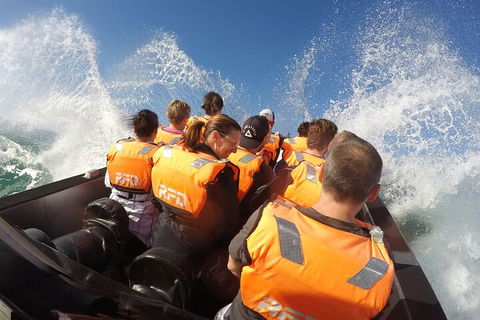 Noosa Thriller - 500hp Ocean Adventure Ride - Restaurants Sydney 4