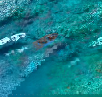 Premium Private Charter - Restaurants Sydney