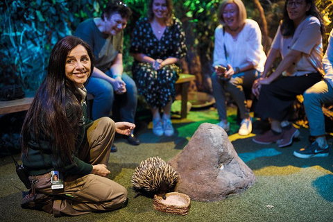 Sydney Taronga Zoo's Australian Animals Tour - Restaurants Sydney 0
