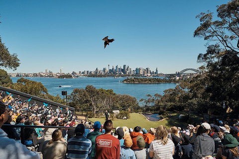 Sydney Taronga Zoo's Australian Animals Tour - Restaurants Sydney 5