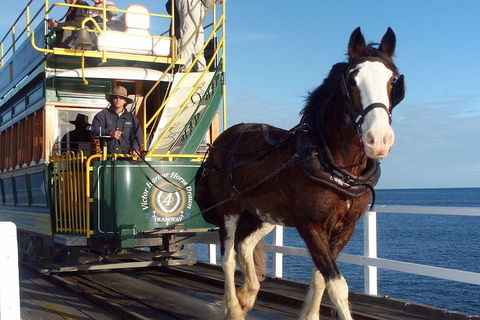 Full-Day Tour In South Australia Highlights - Restaurants Sydney 1