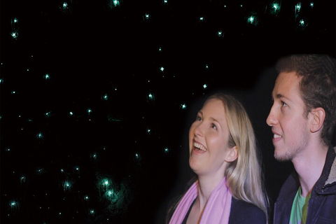 Natural Bridge Glow Worm Night Tour From Gold Coast - Restaurants Sydney 3