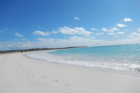Shipwreck Special Nature Tour/Half Day Tour - Restaurants Sydney 0