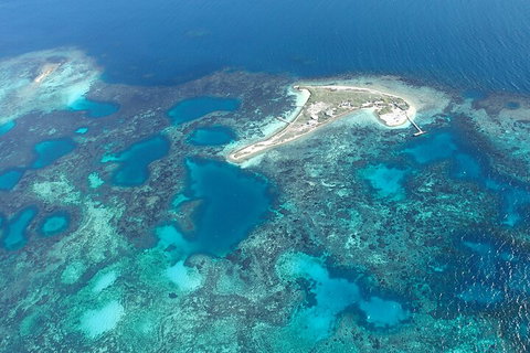 Shipwreck Special Nature Tour/Half Day Tour - Restaurants Sydney 5