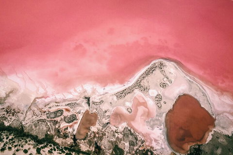 Kalbarri, Pink Lake And Abrolhos Islands Nature Tour - Restaurants Sydney 2