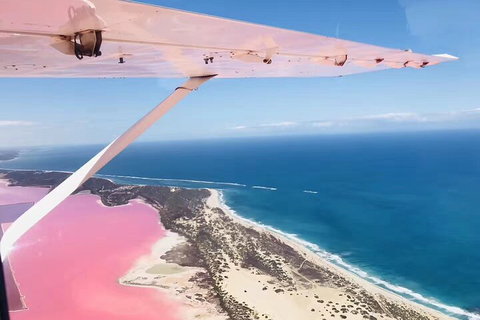 Kalbarri, Pink Lake And Abrolhos Islands Nature Tour - Restaurants Sydney 4