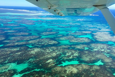 Kalbarri, Pink Lake And Abrolhos Islands Nature Tour - Restaurants Sydney 5