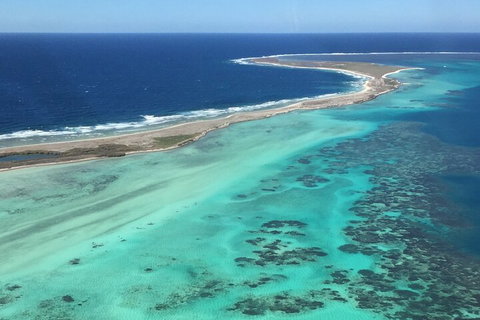Pink Lake + Abrolhos Islands Nature Tour - Restaurants Sydney 2