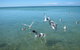 Pink Lake + Abrolhos Islands Nature Tour - thumb 5