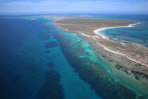 Pink Lake + Abrolhos Islands Scenic Flight - Restaurants Sydney 0
