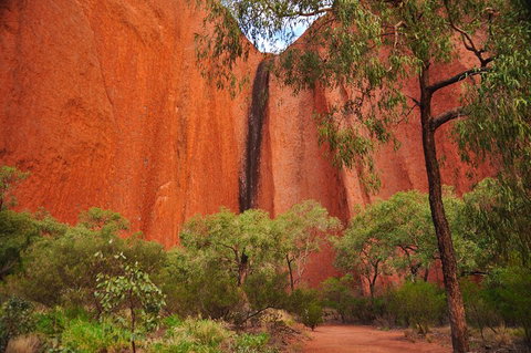 Uluru Sunrise And Guided Base Walk - Restaurants Sydney 3