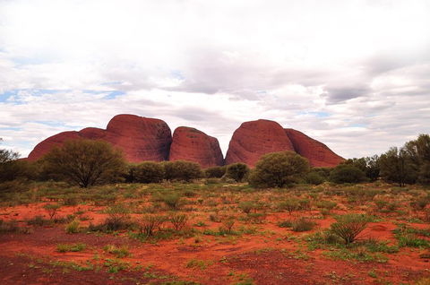 Ayers Rock 4 Tour Combo: Complete Uluru Base Walk At Sunrise, Valley Of The Winds At Sunrise, Kata Tjuta Sunset And Uluru Sunset - Restaurants Sydney 1
