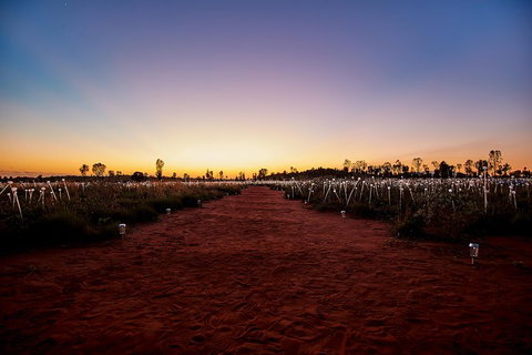 Uluru (Ayers Rock) Field Of Light Sunrise Tour - Restaurants Sydney 3