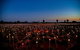 Uluru (Ayers Rock) Field Of Light Sunrise Tour - thumb 4