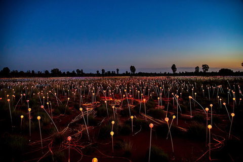 Uluru (Ayers Rock) Field Of Light Sunrise Tour - Restaurants Sydney 4