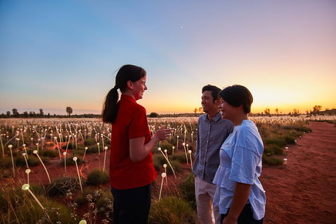 Uluru (Ayers Rock) Field Of Light Sunrise Tour - Restaurants Sydney 5
