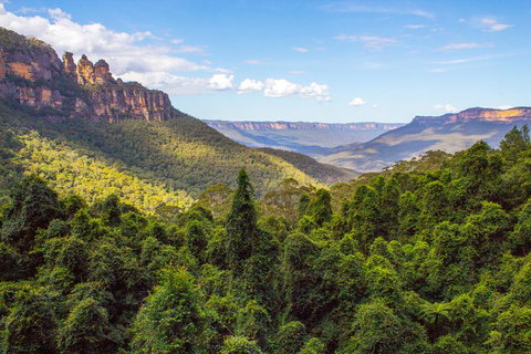 Blue Mountains Nature And Wildlife Day Tour From Sydney - Restaurants Sydney 1