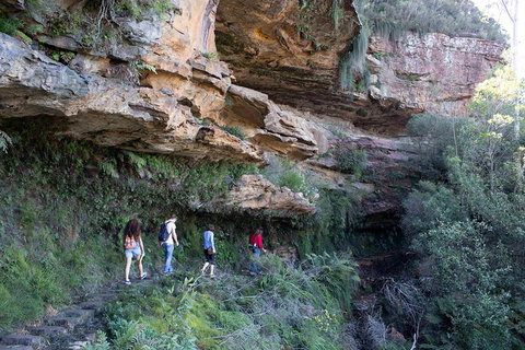 Blue Mountains Nature And Wildlife Day Tour From Sydney - Restaurants Sydney 2