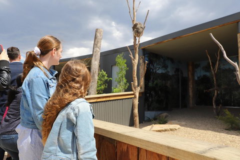 Blue Mountains Nature And Wildlife Day Tour From Sydney - Restaurants Sydney 3