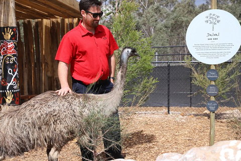 Blue Mountains Nature And Wildlife Day Tour From Sydney - Restaurants Sydney 5