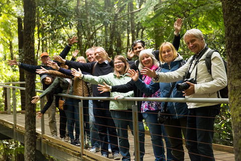 All Inclusive Blue Mountains Small-Group Day Trip From Sydney - Restaurants Sydney 5