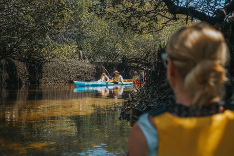 Kayak Tour In Adelaide Dolphin Sanctuary - Restaurants Sydney 0