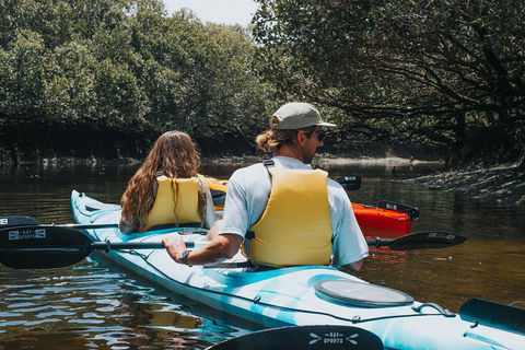 Kayak Tour In Adelaide Dolphin Sanctuary - Restaurants Sydney 2