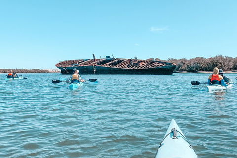 Kayak Tour In Adelaide Dolphin Sanctuary - Restaurants Sydney 3