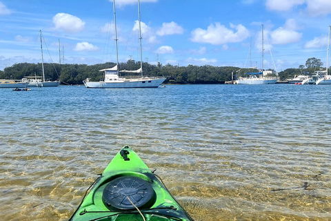 Kayak Tour In Adelaide Dolphin Sanctuary - Restaurants Sydney 4