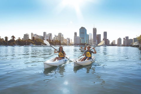 Brisbane Kayak Tour - Restaurants Sydney 0