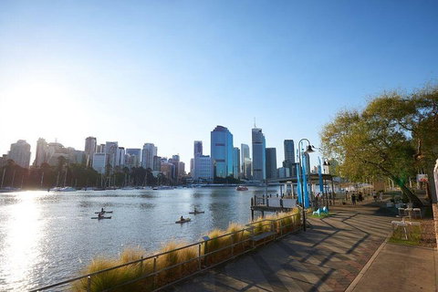 Brisbane Kayak Tour - Restaurants Sydney 1