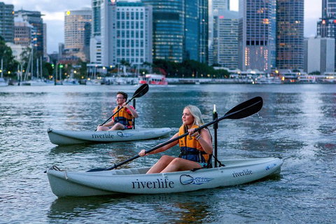 Brisbane Kayak Tour - Restaurants Sydney 3