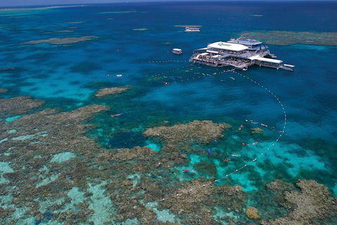 Quicksilver Outer Great Barrier Reef Snorkel Cruise From Port Douglas - Restaurants Sydney 3