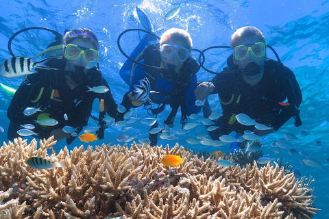 Quicksilver Outer Great Barrier Reef Snorkel Cruise From Port Douglas - Restaurants Sydney 4