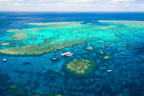 Quicksilver Outer Great Barrier Reef Snorkel Cruise From Port Douglas - Restaurants Sydney 5