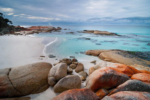 Wineglass Bay Private Charter Service - Restaurants Sydney 0