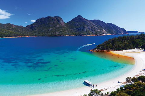 Wineglass Bay Private Charter Service - Restaurants Sydney 1