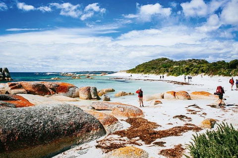 Wineglass Bay Private Charter Service - Restaurants Sydney 3