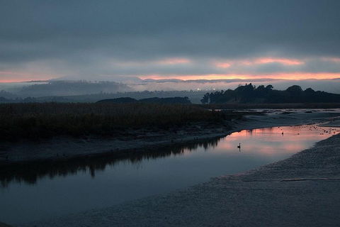 Launceston Private Charter Service - Restaurants Sydney 1