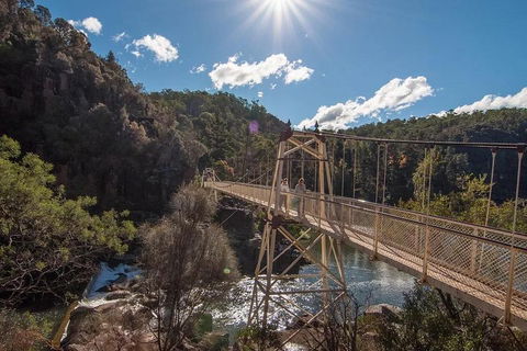 Launceston Private Charter Service - Restaurants Sydney 5