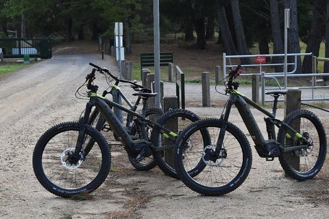 Fully Guided E-Mountain Bike Tour On The Beautiful Mornington Peninsula. - Restaurants Sydney 2
