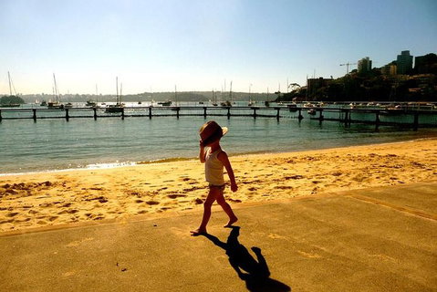Morning Or Afternoon Highlights Tour In Sydney With A Local Guide - Restaurants Sydney 3