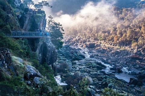 3.5 Hours Walking Tour To Cataract Gorge With Local Guide - Restaurants Sydney 1