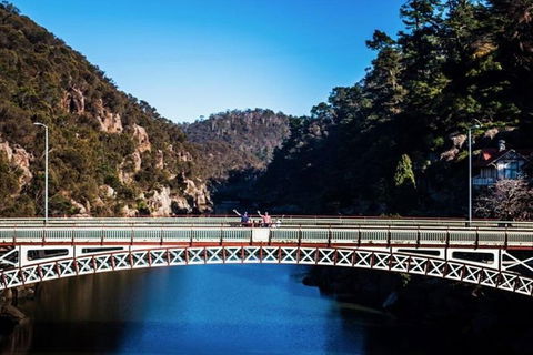 3.5 Hours Walking Tour To Cataract Gorge With Local Guide - Restaurants Sydney 4