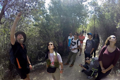 Active Day Tour One-Way From Launceston To Hobart Via Wineglass Bay - Restaurants Sydney 0