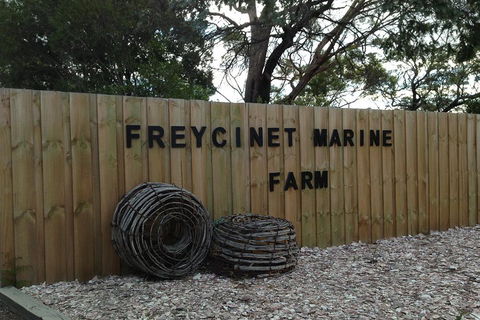 Active Day Tour One-Way From Launceston To Hobart Via Wineglass Bay - Restaurants Sydney 3