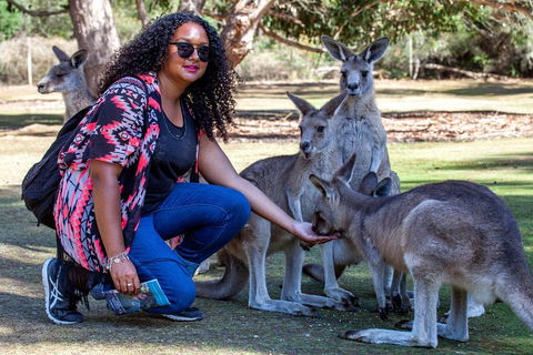 3-Day Tasmania Combo: Hobart To Launceston Active Tour - Restaurants Sydney 5