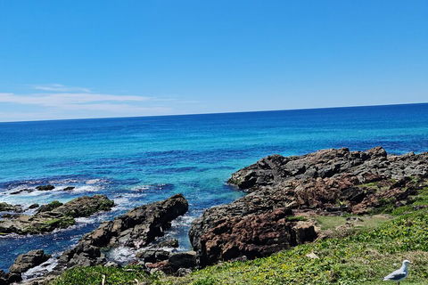 Private Custom Byron Bay Day Out - Restaurants Sydney 4