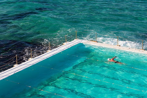 Small Group Essential Sydney Tour Including Lunch - Restaurants Sydney 5