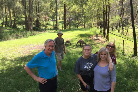 Small Group Blue Mountains Day Tour From Sydney - Restaurants Sydney 1